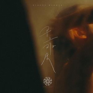 半糖动漫下载安装
